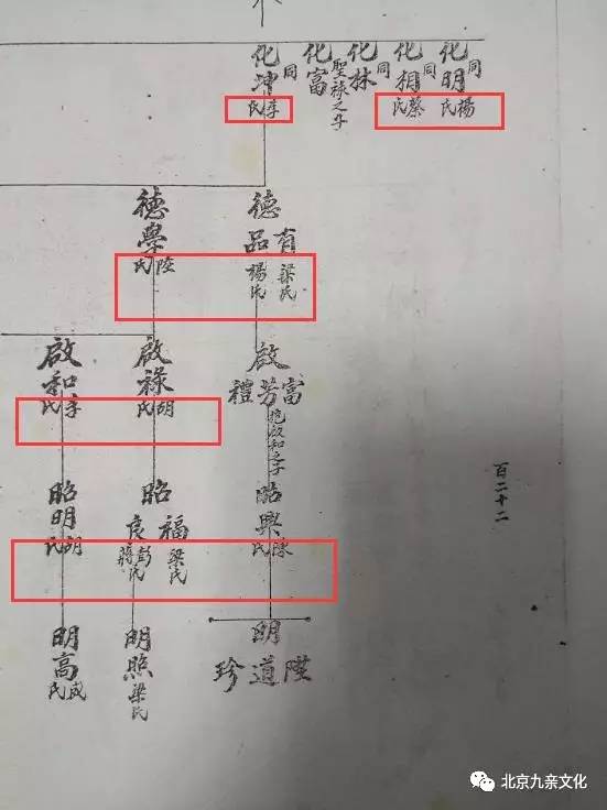 解姓最新族谱，探寻千年传承与家族脉络