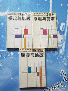 证券最新上市动态，市场趋势、机遇与挑战