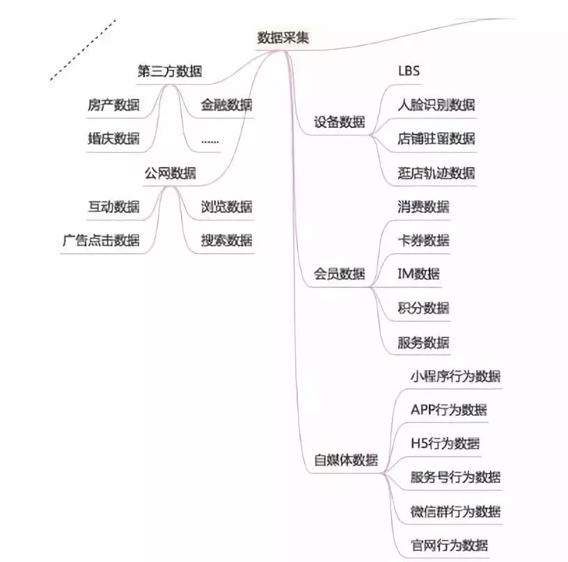 最新小米的价格，市场趋势与消费者洞察