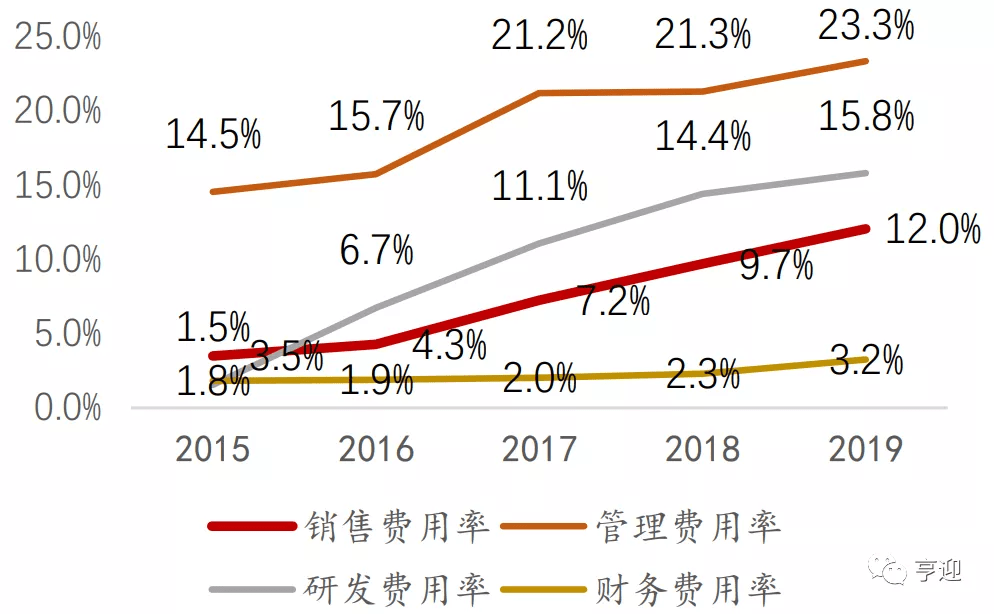 辛玲最新持股，深度解析与未来展望