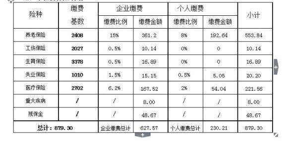 社保补交最新规定，全面解析与影响分析