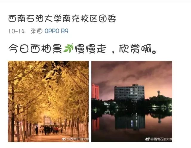 起点最新事情，探索文学新世界的无限可能