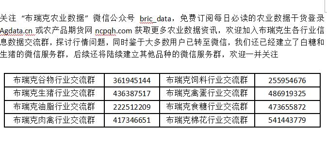 美国最新选举计票结果，历史转折与未来展望