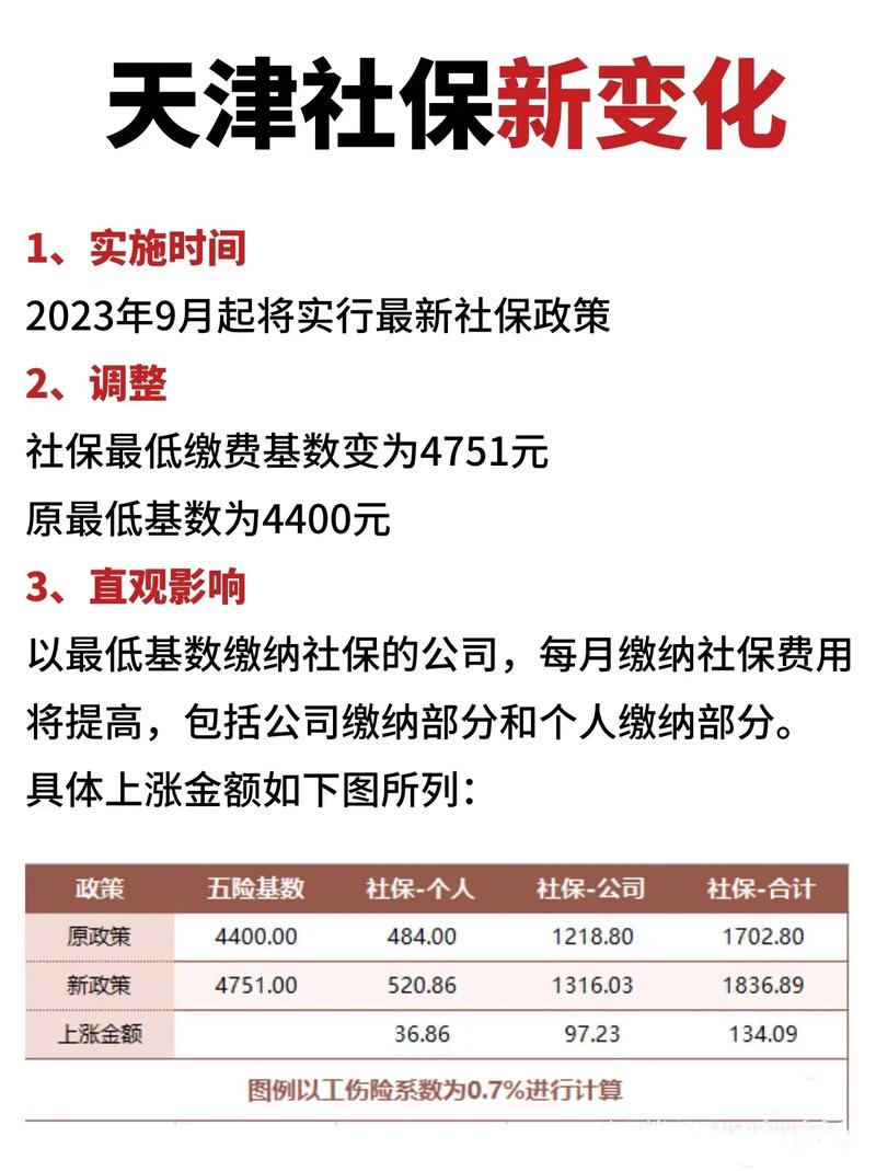 天津最新社保减免政策，为企业减负，促就业稳发展